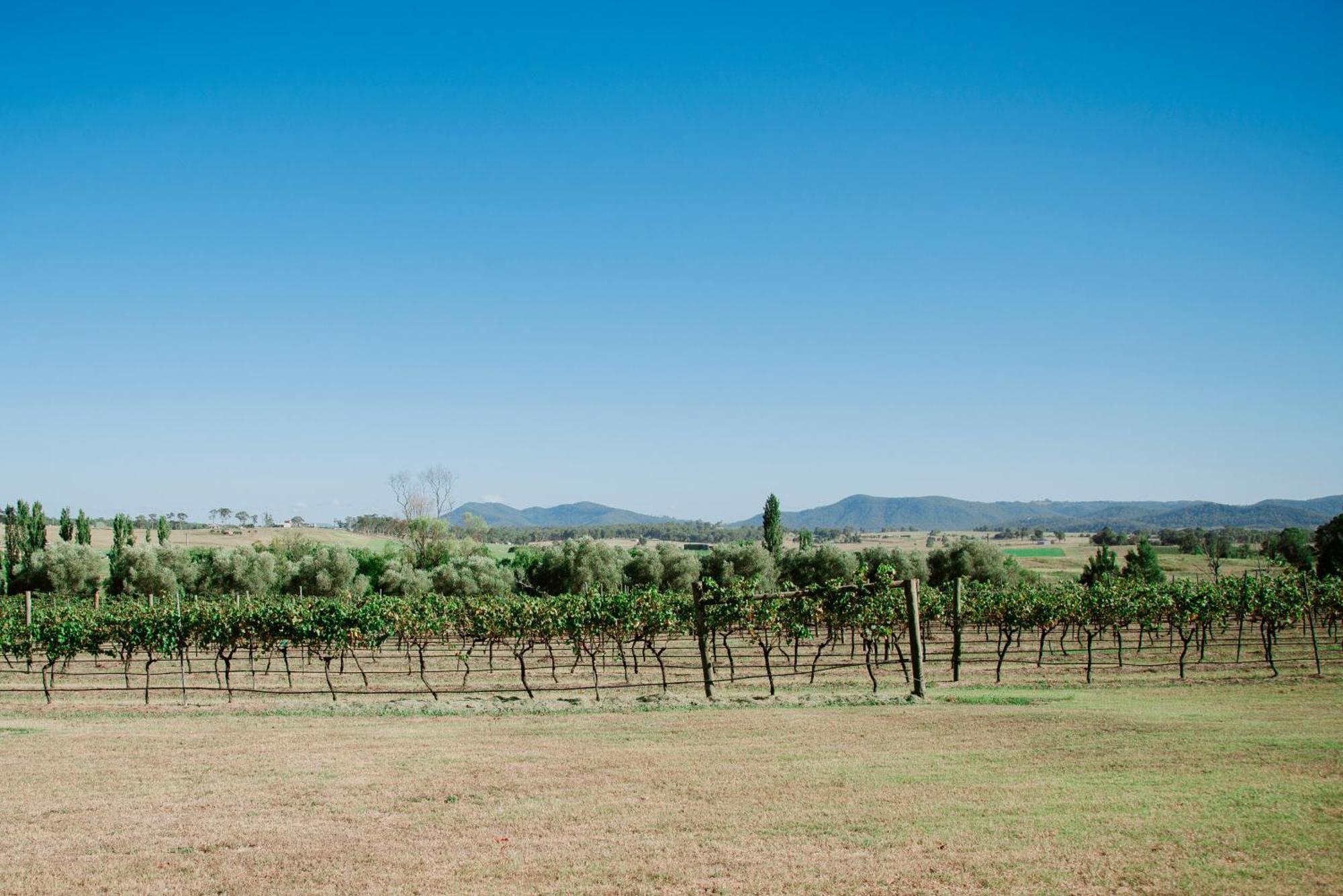 Tranquil Vale Vineyard Hotel Luskintyre Eksteriør billede
