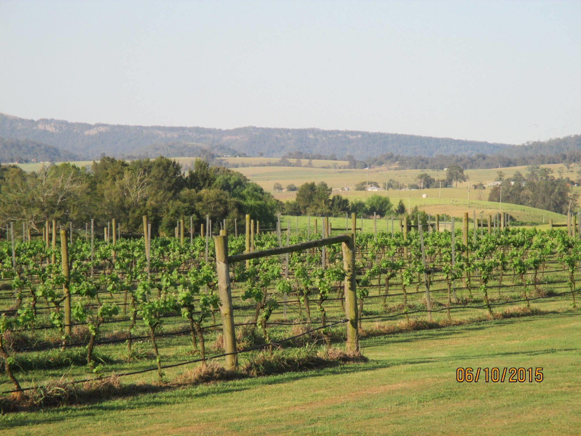 Tranquil Vale Vineyard Hotel Luskintyre Eksteriør billede